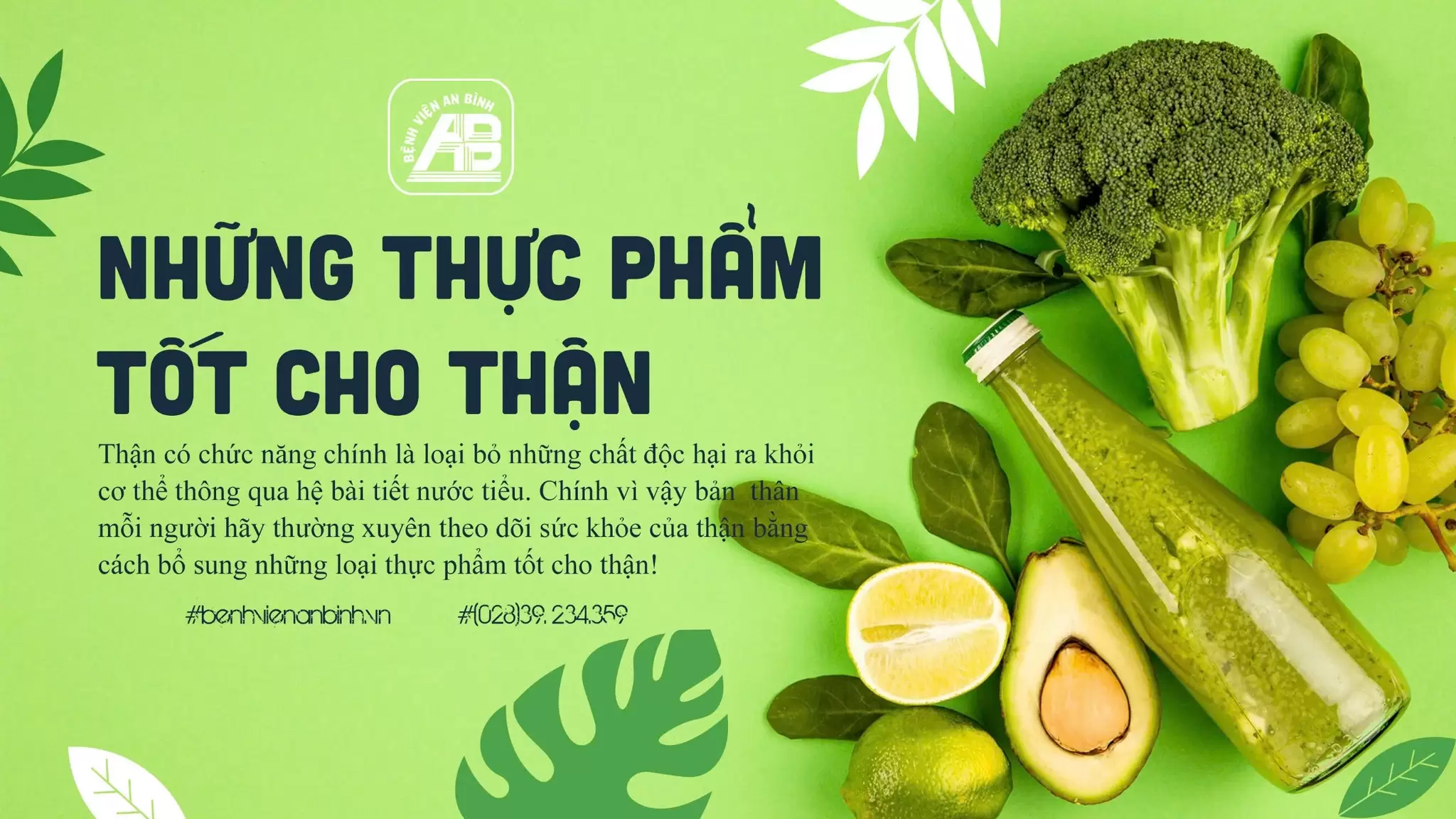Những thực phẩm tốt cho thận bạn nên ăn